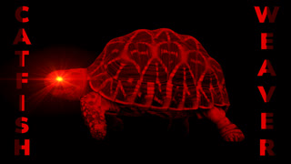 CATFISH & WEAVER | 9.14.24