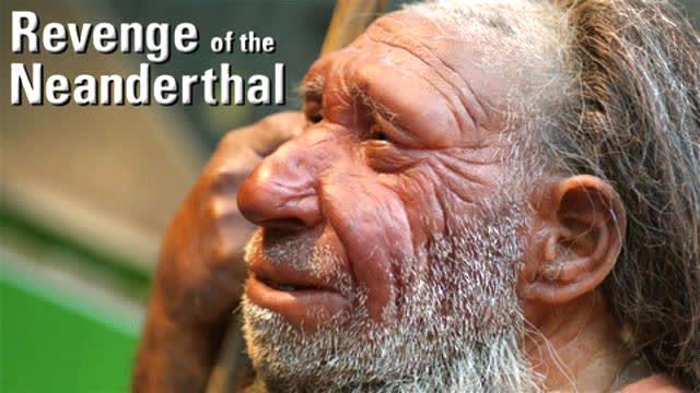 Are jews Neanderthals? A Scholarly Investigation By Michael Collins Piper'