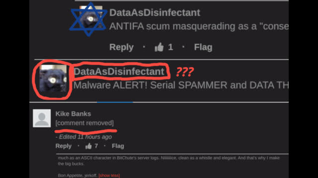 Are Your Comments Getting Removed On Bitchute? This is Probably Why!