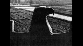 WHITE POWER NIGGER - Doc and chat lounge