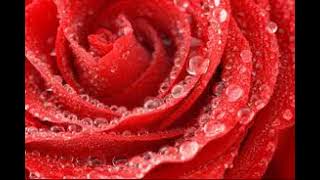 The Satanic Demiurge and the Delusion of AI