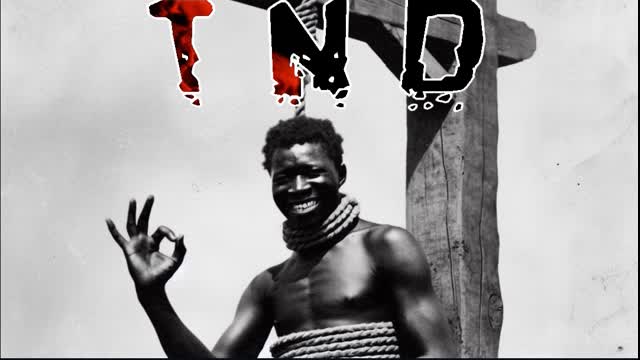 T.N. MFn D! VolksViewMedia Edit