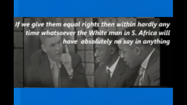 HEEbros vs BASED Chad layin' down the FACTS - This is FIRE!