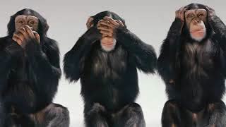 5 Reasons People with RH Negative Blood are Different #MKultra #nephilim (The Outer Dark)