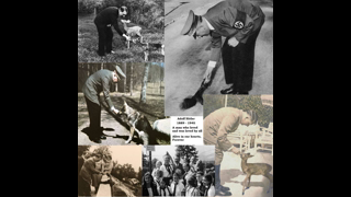 photo_2022-09-25_21-48-56