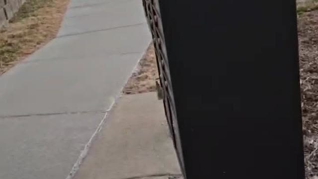 One goy and a pocket full of stickers Pt1