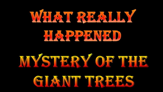 Mystery of the Giant Trees - What Really Happened