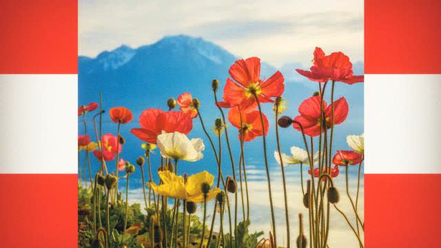 AcolyteSun - Blumenkrieg