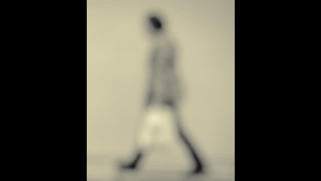 THE SUBVERSION OPTICS OF MID 20TH CENTURY INDIVIDUALISM