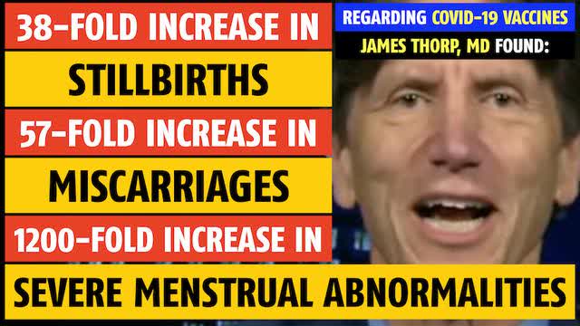 Covid vaccines: 38X stillbirths, 57X miscarriages, 1200X menstrual abnormalities says James Thorp MD