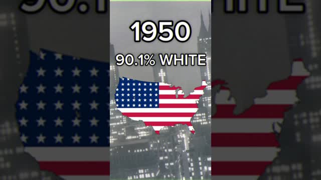 United States White Population #usa #mapping #geography #fypシ #fyp