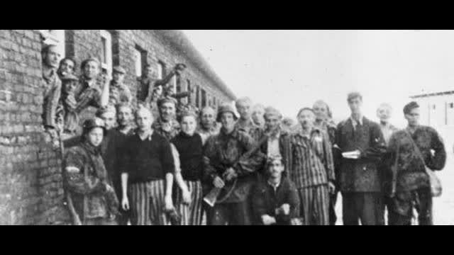 HOLOHOAX LIES FROM WORLD WAR II IN NUMBERS EPISODE 5