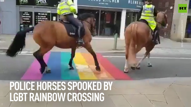 Horses Protest Against LGBTQ+ Crossings