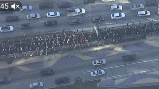 PROTESTORS SHUT DOWN THE 110 FREEWAY IN LOS ANGELES
