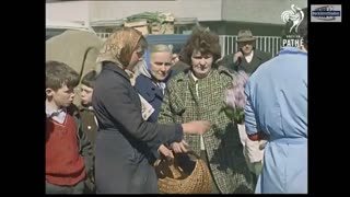 Mamas, don't let your babies grow up to be whiteboys