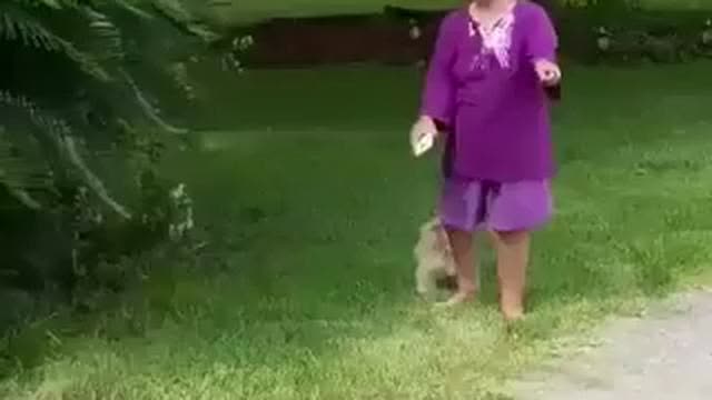 Based Granny No Nigger Zone