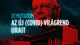 I INTRODUCE YOU TO THE RULERS OF THE NEW (COVID) WORLD ORDER [ENG SUB]