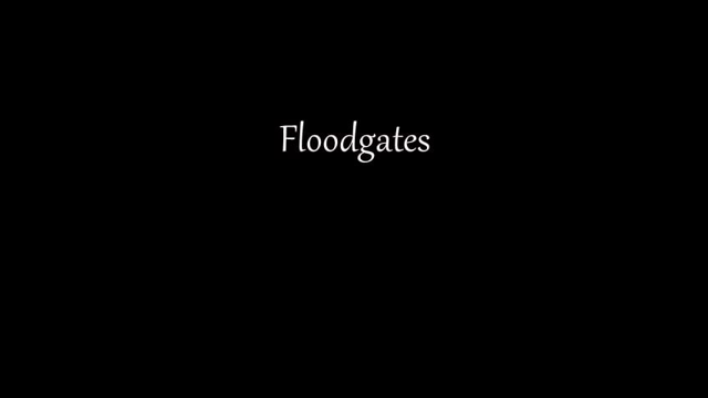 Floodgates.mp4