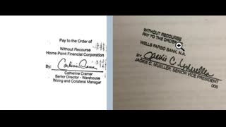 be your own bank w brandon joe williams