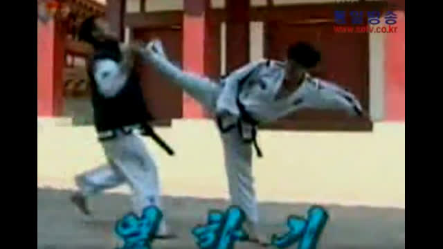 North Korea Taekwon Do Instructional training