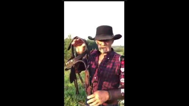 This Man Is a Great Tutor So why not Just Listen