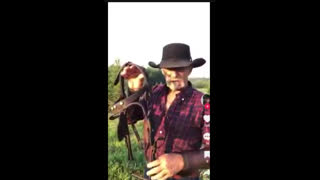 This Man Is a Great Tutor So why not Just Listen