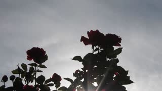 the timelapsed sky on May 30, 2020 in Corona, CA USA
