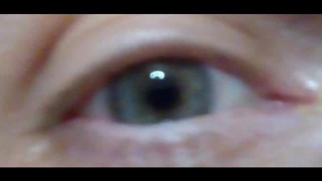 THE GREATEST TRUMP MURAL IN THE WORLD