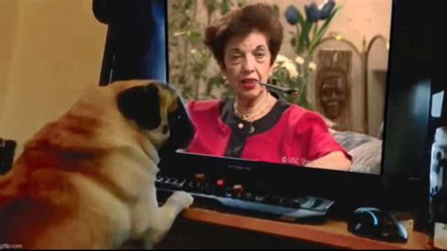 Holohoax Tales - Nazi dogs trained to rape prisoners