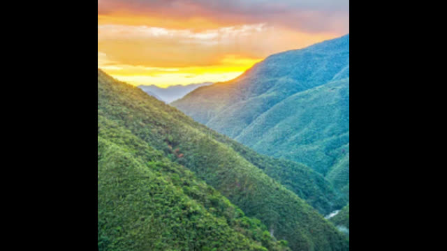 Stop White Genocide Ireland