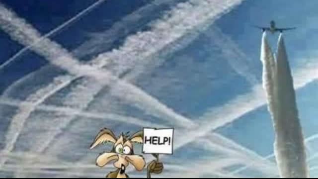 Hat's off to Louise Hampton