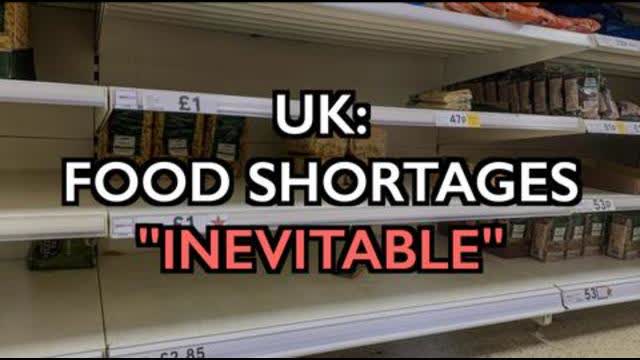 UK: Food Shortages â€˜Inevitable' - "The real food crisis for food supplies starts now."