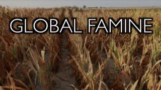 Global Famine: Why? Bioengineered Tiny Humans for a Zero Carbon Future