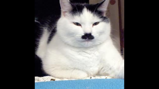 JEWISH BLACK ROCK CORP. BUYING UP U.S. HOUSING MARKET TO BLOCK PROPERTY OWNERSHIP