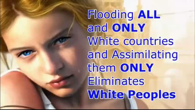 Our Multicultural Future