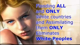 Our Multicultural Future