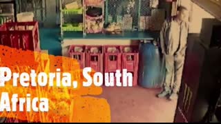 savages - whites GTFO of africa!