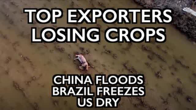 China Floods, Brazil Freezes, US Dry - Top Exporters Lose Crops as Grains Crisis Accelerates