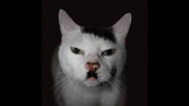 COLORADO'S JEWISH MAYOR SHANE FÃœHRERMAN BANS THE PLEDGE OF ALLEGIANCE