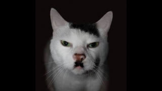 COLORADO'S JEWISH MAYOR SHANE FÃœHRERMAN BANS THE PLEDGE OF ALLEGIANCE