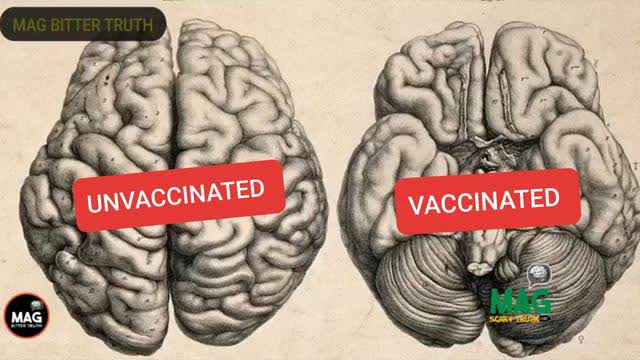 ALL NEW STUDIES" REVEALED