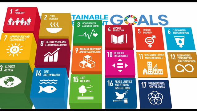 Priorities for the implementation of the (((2030 Agenda)))