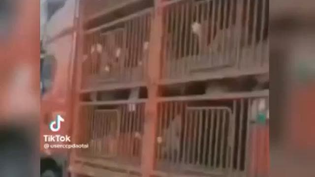 This is going on in China right now. If we don't stop what is going on here, this is our future