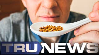 Global Elite: Let the Middle Class Eat Bugs and Fake Lab Meat    TRUNEWS