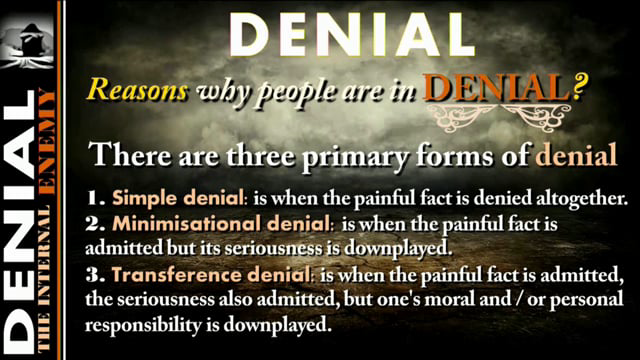 The High Price of Denial - Tom Kerry