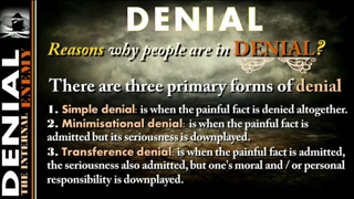 The High Price of Denial - Tom Kerry