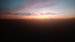 freedom, wisdom, gratitude, leadership, and trauma.