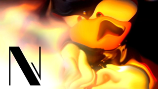 Shadow and The Forbidden Word