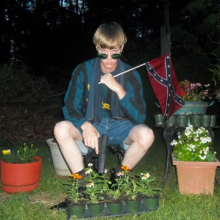 RisingSun ⚡︎⚡︎