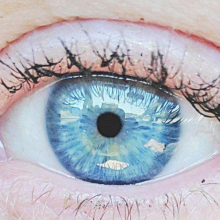 GOY GIRL KIKE DETECTOR